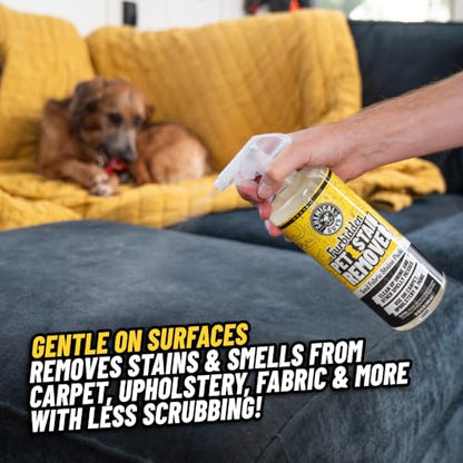 Chemical Guys Furbidden Pet Stain Remover for Car & Home, Carpet & Upholstery Cleaner, Eliminates Pet Odors & Stains from Urine & Vomit, Multi-Surface Pet Odor Neutralizer - from (32 Fl Oz) - size: 32 Fl Oz (Pack of 1)