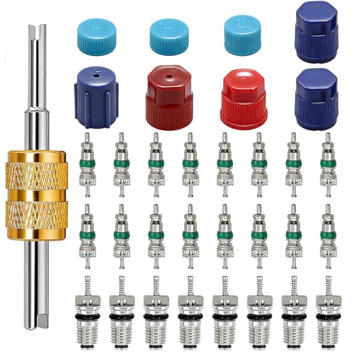 TWTADE 33PCS Air Conditioning Valve Core Kit Car A/C R12 R134a Refrigeration Schrader Valve Stem Cores with Valve Core Removal Tool HVAC System Seal Caps Kit - color: Multicolor - 33Pcs