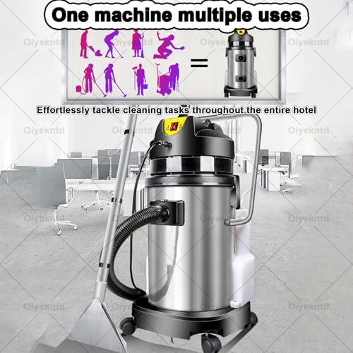 Commercial Carpet Cleaner Machine, 3 in 1 Portable Ex-Tractor for Car Detailing, Stainless Steel Body Vacuum Cleaner for Carpet/Sofas Cleaner Machine 20L - size: 20L