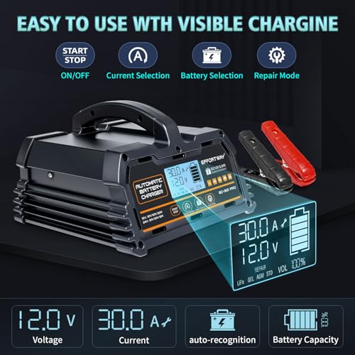30A Battery Charger, 12V/24V Lead Acid, 12V LiFePO4. Smart Battery Charger with Trickle Charge. Car Battery Maintainer with LCD Display. Suitable for Trucks, Motorcycles - size: 30A