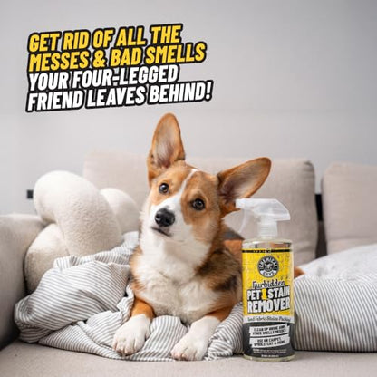Chemical Guys Pet Mess Cleaning Kit, Furbidden Odor Eliminator 16 oz with Interior Detailing Brush Cleans, Pet Smells, Hair and Light Dirt for Cars Trucks SUVs Home Interiors and Upholstery Care - size: 16 Fl Oz + Brush