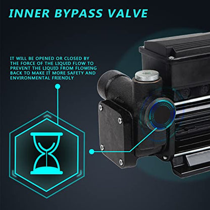 Trupow 110V AC 20GPM Electric Self-priming Diesel Kerosene Oil Fuel Transfer Extractor Pump - style: 20GPM