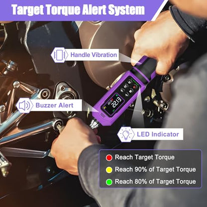 ANPUDS Digital Torque Wrench, ±1% Accuracy, 0.33-22.13 Ft-lb | 1/4 Drive, Vibration/Buzzer/LED Flash Alert, Dual Direction Ratchet Electric Torque Wrench, for Bike Motorcycle - size: 1/4" 0.33-22.13 Ft-lb/0.45-30 Nm(Digital)