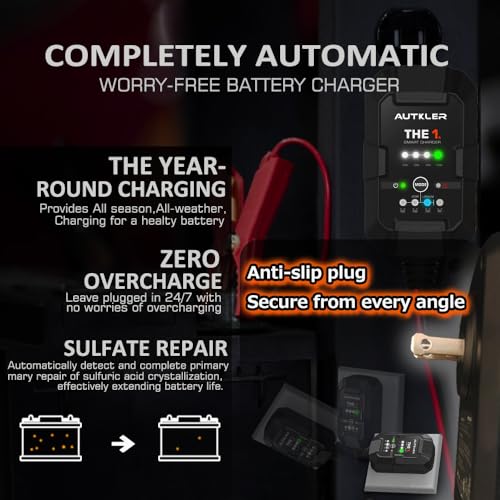 THE1A 6V/12V Smart Battery Charger,Trickle Charger,Desulfator & Automatic Maintainer for Multi-Chemicals Lead-Acid & Lithium Batteries,Temperature Compensation Down -20 °C,IP60
