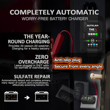 THE1A 6V/12V Smart Battery Charger,Trickle Charger,Desulfator & Automatic Maintainer for Multi-Chemicals Lead-Acid & Lithium Batteries,Temperature Compensation Down -20 °C,IP60