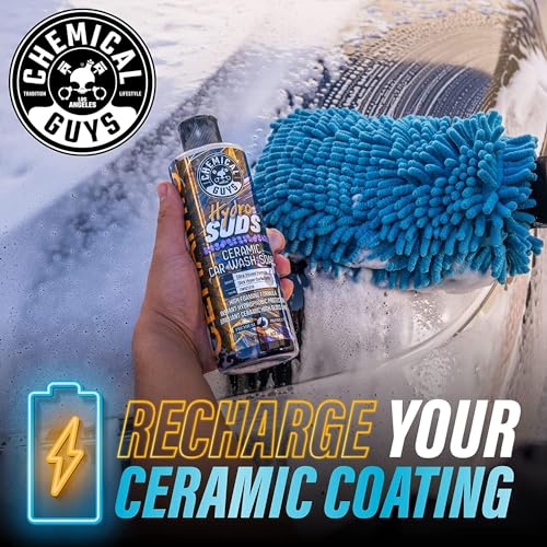 Chemical Guys HydroSuds Ceramic Shine High Foaming Car Wash Soap (Works with Foam Cannons, Foam Guns or Bucket Washes) For Cars, Trucks, SUVs, RVs & More, 16 fl oz, Berry Scent, 2 Pack - size: 16 Fl Oz (Pack of 2)