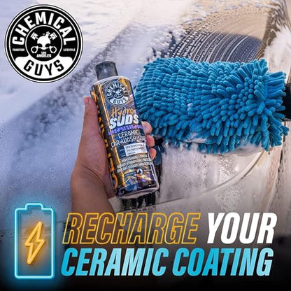 Chemical Guys HydroSuds Ceramic Shine High Foaming Car Wash Soap (Works with Foam Cannons, Foam Guns or Bucket Washes) For Cars, Trucks, SUVs, RVs & More, 16 fl oz, Berry Scent, 2 Pack - size: 16 Fl Oz (Pack of 2)