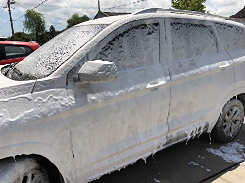 M MINGLE Foam Cannon, Compatible with Portland Husky and Ryobi Pressure Washer, with 5 Nozzle Tips, 1/4 Inch Quick Connector - size: 1 Wand