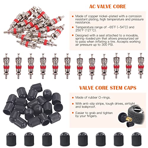 119Pcs Valve Core Remover Tools with Aluminum Tire Valve Stem Caps, Valve Core, Dual Single Head Valve Core Remover and 4-Way Valve Tool Kit for Automotive Truck Motorcycle Bicycle
