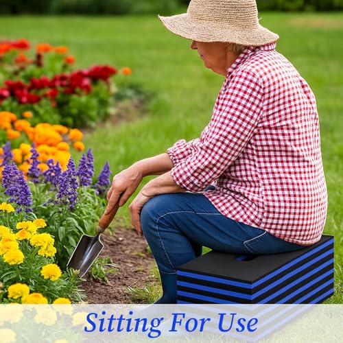 Ptwola Foldable EVA Mat with Carrying Handle, 2.5cm Thick Foam Cushion Kneeling Pad High Density Water Resistant Anti Slip Knee Mat for Workout Exercise Mechanic Garages Picnics Gardening Camping Gym - color: Blue Border