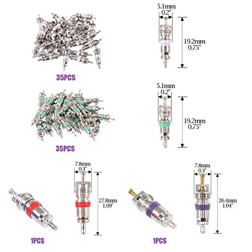 Swpeet 41Pcs R12 / R134a AC Master Valve Core Repair Kit, Including Assortment R12 R134a Valve Core Refrigeration Tire Stem with Remover Tool for Most Cars