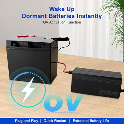14.6V 10A LiFePO4 Battery Charger Designed for 12V Lithium Battery, AC-DC Smart Charger, Battery Maintainer, Built-in Safety Protections, Support 0V Charging Function - color: 14.6V 10A