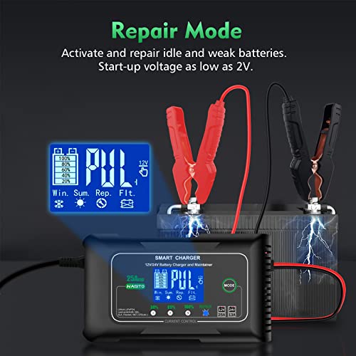25 Amp Lithium Battery Charger, 12V and 24V Lifepo4,Lead-Acid(AGM/Gel/SLA..) Battery Charger,Battery Maintainer, Trickle Charger, and Battery Desulfator for Car,Boat,Motorcycle, Lawn Mower.