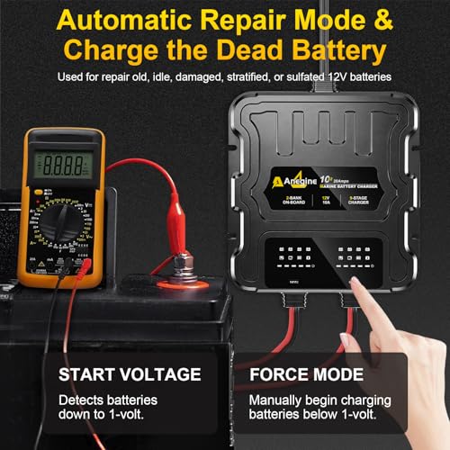 2 Bank Marine Battery Charger, 20A (10A/Bank) 12V IP68 Waterproof LCD Onboard Battery Charger with Overcharge Protection, Battery Maintainer for Lead-Acid, AGM, Gel, LiFePO4, Lithium, Boat, Car, RV