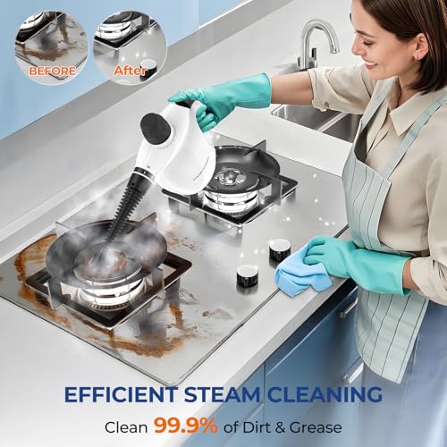 Steam Cleaner, Pressurized Handheld 13pcs Multi-Purpose Natural Deep Cleaning Steamer, Portable Steamer for Cleaning Home, Grout, Kitchen, Car, Window, Upholstery, Bathroom and Clothes, White - color: Black&White