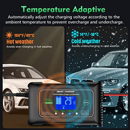 25 Amp Lithium Battery Charger, 12V and 24V Lifepo4,Lead-Acid(AGM/Gel/SLA..) Battery Charger,Battery Maintainer, Trickle Charger, and Battery Desulfator for Car,Boat,Motorcycle, Lawn Mower.