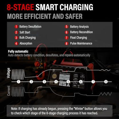 TowerTop 25A Pro+ Battery Charger, 6V/12V Car Battery Charger Fully Automatic Smart Battery Maintainer with Engine Start, Auto Desulfator, Battery Repair, for All Lead-Acid, AGM and LiFePO4 Batteries