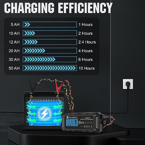 ECO-WORTHY 12V 5A Automatic Smart Battery Charger and Maintainer LCD Display for Lead Acid and Lithium (LiFePO4) Battery
