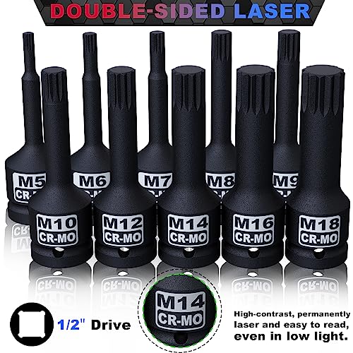 1/2" Drive Master Impact XZN Bit Socket Set, 10-Pieces: M5 - M18, Cr-Mo Steel, Heavy Duty Storage Case - size: 1/2" XZN