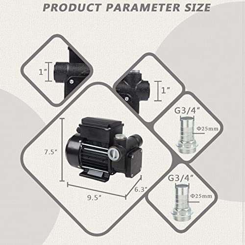 Trupow 110V AC 20GPM Electric Self-priming Diesel Kerosene Oil Fuel Transfer Extractor Pump - style: 20GPM