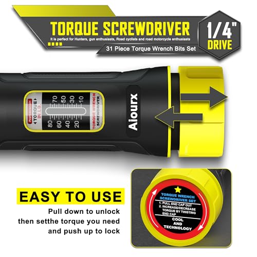 Torque Screwdriver Set, 10-80 Inch Pounds lbs, 31 Piece 1/4" Drive Torque Screwdriver Wrench with S2 Steel Bits for Bicycle Mechanics, Mechanical Equipment, and Mounting - size: 10-80 in.-lb. Standard