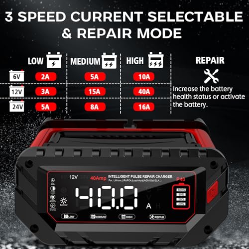 40 Amp Battery Charger, 6V/12V/24V Smart trickle Charger,car Battery Charger,Lithium, Lifepo4, Lead Acid (AGM/Gel/SLA...) Battery maintainer, desulfurizer, for:car, Boat, Motorcycle,Lawn mowers..