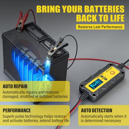 Shell Car Battery Charger 6V/12V- Smart Battery Charger 4A/1A with LCD Display, Automatic Lithium & Lead-Acid Tickle Charger Maintainer & Desulfator for Car Motorcycle Lawn Mower Boat Deep Cycle