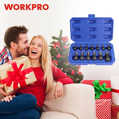 WORKPRO Torx Bit Socket Set, 1/4", 3/8" and 1/2" Drive Torx Bits 13-Piece Socket Set T8-T60, Premium S2 Steel Bits and CR-V Sockets with Storage Case - style: 13-piece torx bit socket set