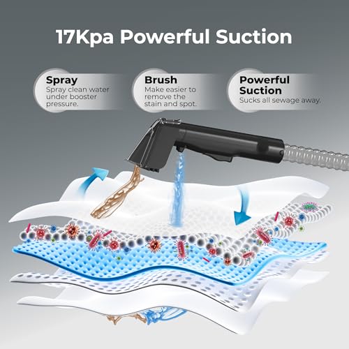 Rosewill Multi-Purpose Portable Carpet and Upholstery Cleaner, Powerful Suction 17 KPa Spot Cleaner, 550W Motor, Car and Auto Detailer, Stain/Spot Remover; Versatile Use: Carpet, Sofa, Pet Hair - color: Black
