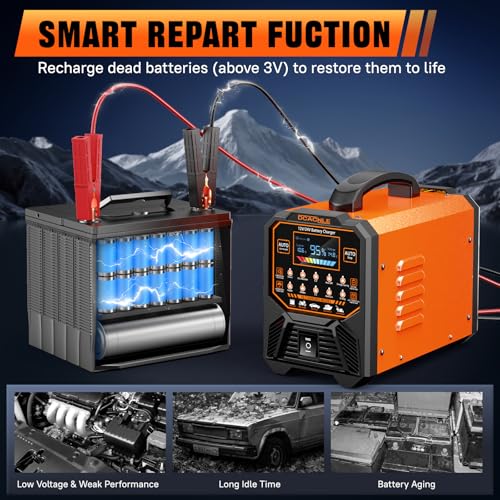 DCACNLE 12V/24V 0-15A Car Battery Charger Heavy Duty, Smart Trickle Charger | Automatic Maintaine, Desulfator with Overcharge Protection & Auto Shutoffs,Suitable for Various Vehicles&Lead Acid Batteries