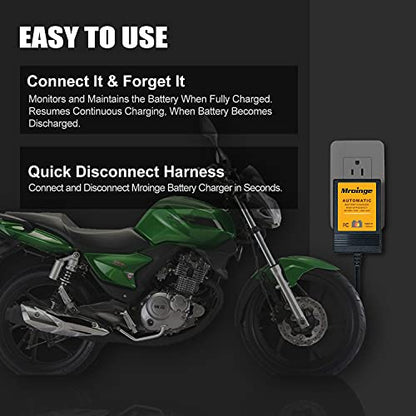 Trickle Charger 12V 1000mA Smart Battery Charger & Maintainer and Automatic Float Charger for Motorcycle, ATV, Lawnmowers and More