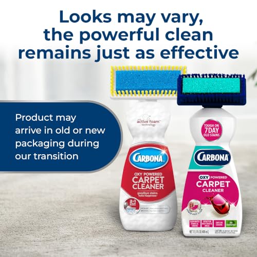 Carbona 2-in-1 Oxy-Powered Carpet Cleaner (13.5 Fl Oz), Spot Cleaner with Dual Sponge & Bristle Applicator for Targeted Cleaning, Fast Formula - size: 13.5 Fl Oz (Pack of 1)