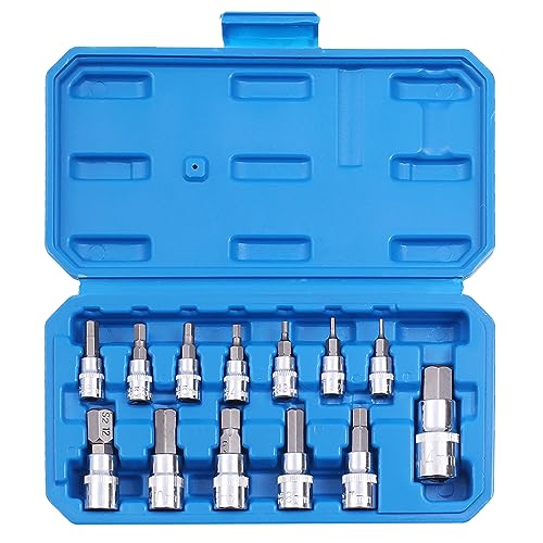 Hex Bit Socket Set Premium S2 Alloy Steel | 13-Piece Metric 2mm - 14mm Allen Socket Kit