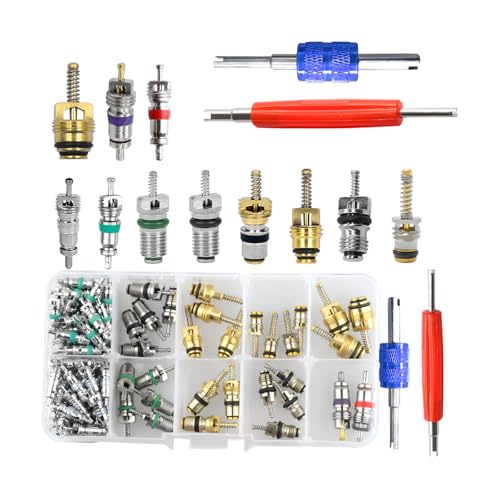 HZEL 102PCS Car Air Conditioning Valve Core Accessories Kit, R12 R134a Vehicle A/C Refrigeration Tire Valve Stem with Remover Installer, Automotive Valve Spool Repair Tool Assortment Set