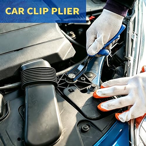 DWH 18 Pcs Precision Pick and Hooks Set, Trim Removal Tool Kit with Scraper Telescoping Magnetic Pickup Tool Panel Clip Plier Fastener Remover, Metal Plastic Trim Tools, Automotive Mechanic Bag, Blue - color: blue