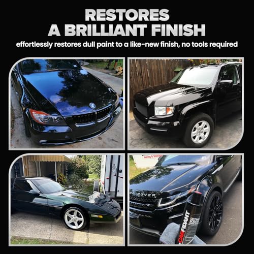 Carfidant Black Scratch and Swirl Remover - Car Scratch Remover for Paint Scratches - Polishing Compound for Cars Kit with Buffer Pad - Buffing Compound for Car Paint Restorer - style: Black Scratch Remover