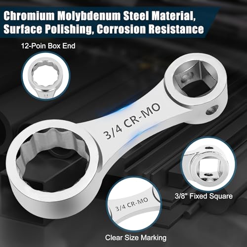 Torque Adapter Set SAE 12PCS, Includes 5/16", 3/8", 7/16", 1/2", 9/16", 5/8", 11/16", 3/4", 13/16", 7/8", 12 Point Box End Torque Wrench Extension Adapter 3/8" Drive, with 1/2" + 1/4" Drive Converters - size: SAE 5/16" - 7/8"