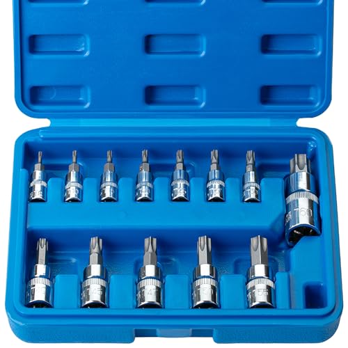 Bates Torx Bit Set - 13 Piece Socket Set, T8-T60, Star & Torx Bits - size: 13 pcs, T8-T60
