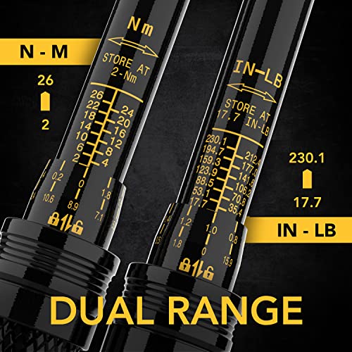 LEXIVON Bike Torque Wrench 1/4-Inch Dr. 15-Piece Kit | 72-Tooth Gear, Dual-Direction Click Type 2~26 Nm / 17.7~230.1 in-lb (LX-191) - style: Bike Torque wrench kit