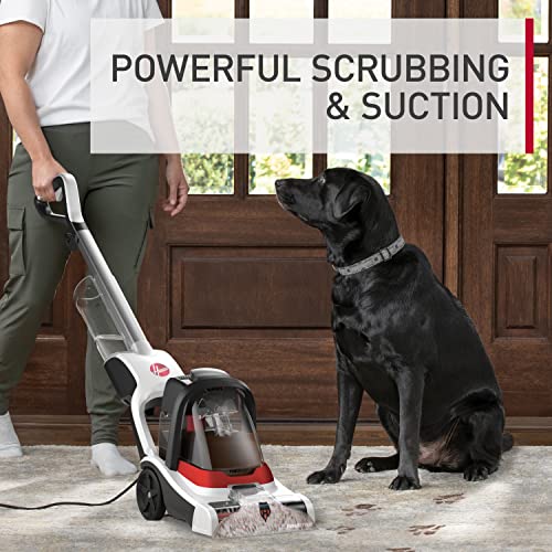 Hoover PowerDash Pet+ Compact Carpet Cleaner, Lightweight Carpet Shampooer | Heatforce Faster Drying, Pet Brush Roll, Use with a Carpet Cleaner Solution for a Bright, Refreshed Home - style: PowerDash Pet+