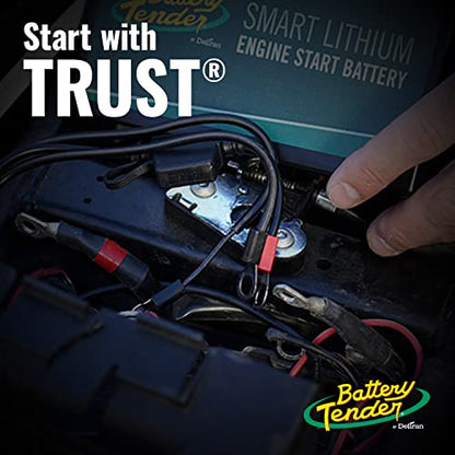 Battery Tender Ring Terminal Harness Accessory Cables 25 Pack - 18 inch Cord Adapter with SAE Quick Disconnect - Easy Quick Convenient for Motorcycles, Cars, ATVs and More - 081-0069-6-J25 - style: 25 Pack
