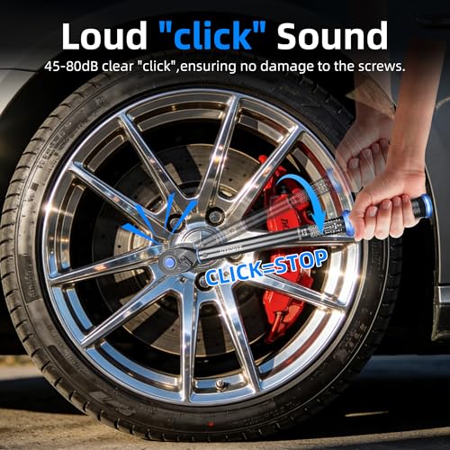 1/2-Inch Drive Click Torque Wrench, Dual-Direction Click Professional Torque Wrench 10-170FT.LB/13.6-230.5N.M, Dual Range Scales Graduated in FT.LB and N.M, Blue - size: 1/2" 10-170 FT.LB