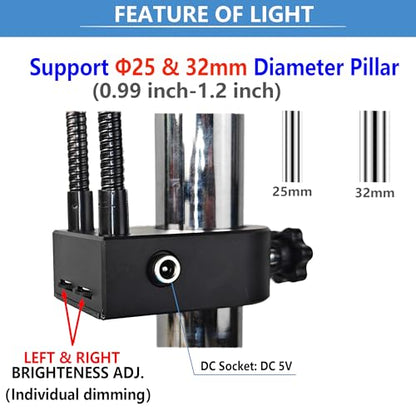 Microscope Light Source Dual Gooseneck Spotlight 3W 6500K for Lab, Industrial, Biological Stero Microscope Illuminator for Electronic PCB Watch Repair (Spotlight-B) - color: Spotlight-B