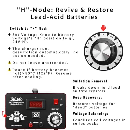 C20 Adjustable Battery Charger 12V 24V 36V 48V, 12A Pulses of High-Voltage Battery Desulfator Maintainer with Smart Chip for Lead-Acid LiFePO4 Lithium Batteries BLB-C20