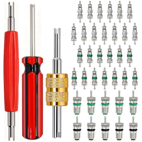 TWTADE Air Conditioning Valve Core Kit - Car & Home AC R12 R134a Refrigeration Schrader Valve Stem Cores with Single & Dual Heads Valve Core Remover Installer Tool - color: Multicolor - 39Pcs