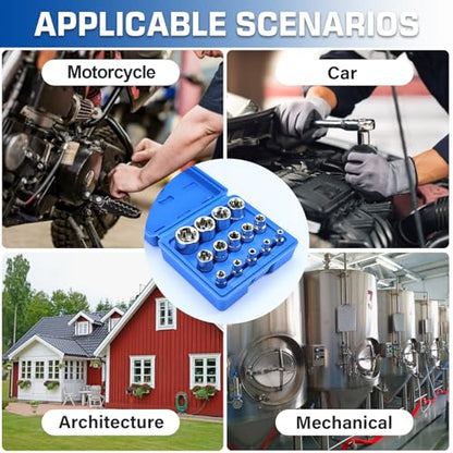 14-Piece Female E-Torx Socket Set, E4-E24 External Star Sockets, 1/4" 3/8" 1/2" Drive, High-Strength Cr-V Steel, Compatible with Regular & E-Torx Plus, Automotive Repair Tool Kit with Storage Case