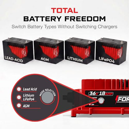 FORM 36 Volt Golf Cart Battery Charger for EZGO TXT Golf Carts with D-Style Plug - 36V 18AMP for Lead Acid, LiFePO4, Lithium Batteries - Waterproof Design - size: Lead Acid, Lithium & AGM