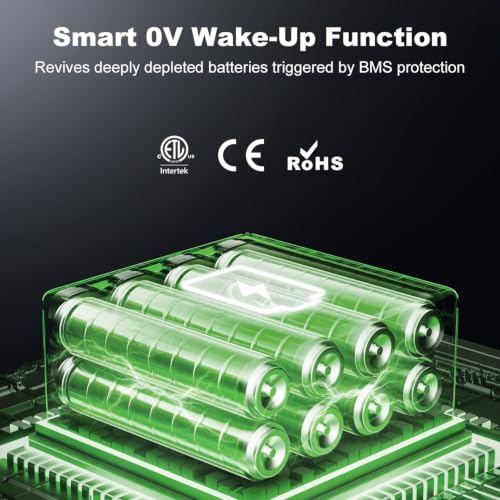 24V 20A LiFePO4 Battery Charger, 29.2V Smart Lithium Charger with Anti-Spark Technology & 0V Wake-Up, Active PFC for Off-Grid Systems, Includes Wall Mount Bracket & Adapter - size: 24v 20a