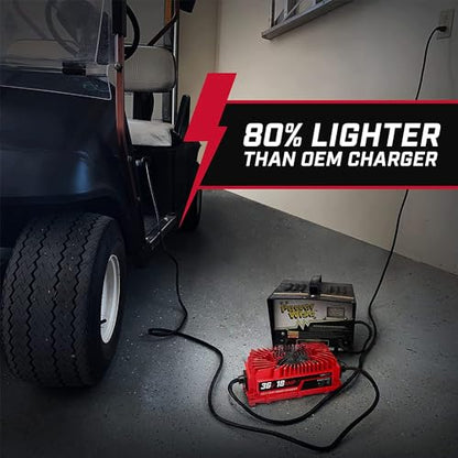 FORM 36 Volt Golf Cart Battery Charger for EZGO TXT Golf Carts with D-Style Plug - 36V 18AMP for Lead Acid, LiFePO4, Lithium Batteries - Waterproof Design - size: Lead Acid, Lithium & AGM