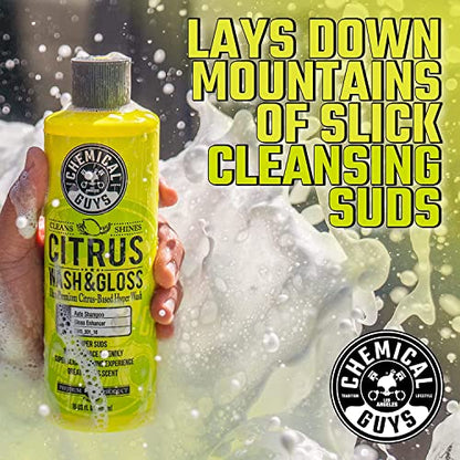 Chemical Guys EQP_313 TORQ Professional Foam Cannon and Soap Kit, 4 Items - size: 48 Fl Oz (Pack of 1), style: EQP_313